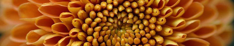 Learning & Development @Vision2Value