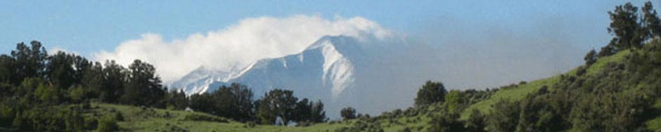 Learning & Development @Vision2Value